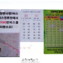 세그루 게스트하우스 | [강원/춘천] 세그루 게스트하우스