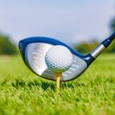 버디골프스쿨 이미지