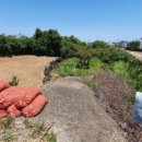 구좌중앙초등학교 이미지