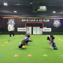 장흥생활체육공원 축구장 이미지