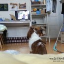 양백농장 네이버블로그