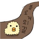 바오하우스