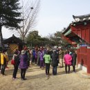 2015년 3월15일 팔공산 지역 답사 이미지