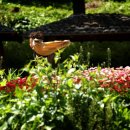 반디작은도서관 이미지