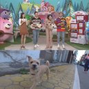 하은이네 농장 이미지