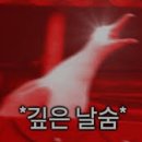 오사카 교자바
