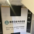 SNPE | 부산 경성대 자세교정 운동 SNPE 체험 후기｜거북목, 허리통증에 좋은 운동