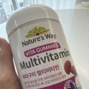네이쳐스 비타민 | 🍓 요즘 챙겨 먹는 비타민, 네이처스웨이 비타구미 후기