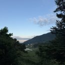 멍멍이와냥이 | 은유다락ㅣ남해 숙소 추천 • 남해 에어비앤비 • 네이버 예약 후기