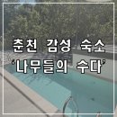 나무들의 수다 | 춘천 여행 - 감성 숙소 독채 펜션 &#39;나무들의 수다&#39; 내돈내산 후기(하나로마트, 아르케이프 커피, 육림닭...