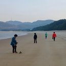 정임 - 유성구 대정로28번안길 25 | 정임