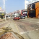 (버스)평택대학교 이미지