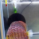 워터월드코리아 이미지