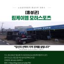 팀케이엠모터스포츠