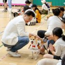 도봉 애견 미용앤호텔 | 취약계층 반려동물 위탁보호 서비스 시행