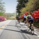 원북면사무소 이미지