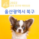 냉천경로당 | 울산광역시 북구 2022년 봄 광견병 예방접종