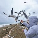 양남주상절리 | 경주 아이랑 가볼만한곳 경주 문무대왕릉 세계 유일한 수중릉 경주양남 주상절리 솔직후기