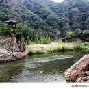 월류정 Daum카페