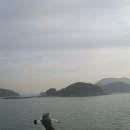 장봉 Daum카페