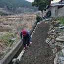 (주)진도울금 이미지