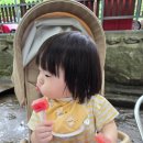 한박농원 이미지