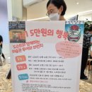 다놀투어