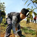 후계자주말농장 이미지