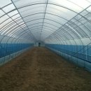 그린하우스 이미지