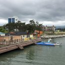 솟대다리 이미지