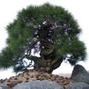 서상수농장 이미지