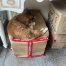 843005 이미지