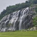 안개로 | 시그너스cc 안개속 라운딩 후기