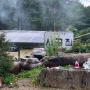 시골오리 이미지