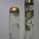 동의약초건강원 이미지