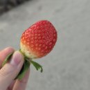 서영농장 | 일상 :: 그냥 지나가기엔 아까운 J의 하루