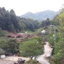 숲속&펜션 이미지