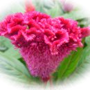 도천어린이집 이미지