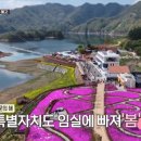붕어섬 식당 이미지
