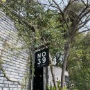 cafe 39 | 치앙마이 반캉왓 근처 <넘버39 No.39 Cafe> 내돈내산 후기
