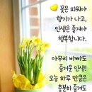 밝음에너지 네이버블로그
