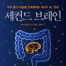 세컨드브레인 티스토리