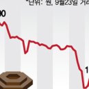 콜마생활건강 주식회사 이미지