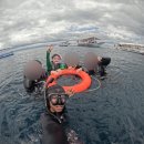 [3월 필리핀 보홀🇵🇭] 보홀로 떠나 보홀게요~🐢🐳🤿🏝️