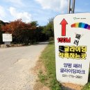 양평 한화리조트 네이버블로그