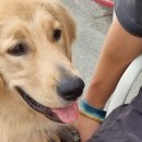 금동펜션 이미지