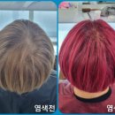 큐사랑대구