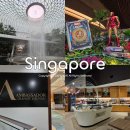 송파관광정보센터 | 싱가포르 창이공항 쥬얼창이 송파바쿠테부터 2터미널 라운지 정보