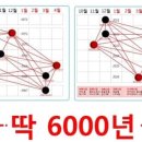 [일반] 2024이 기묘한 한 해인 이유 이미지