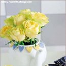 아름답개 이미지